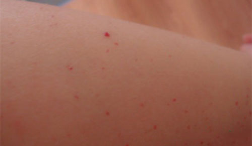 ������С�������ô���� ������С�����ô��